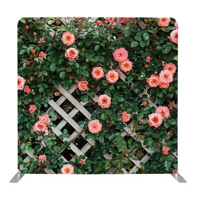 WhatsApp Image 2025-04-21 at 05.16.23